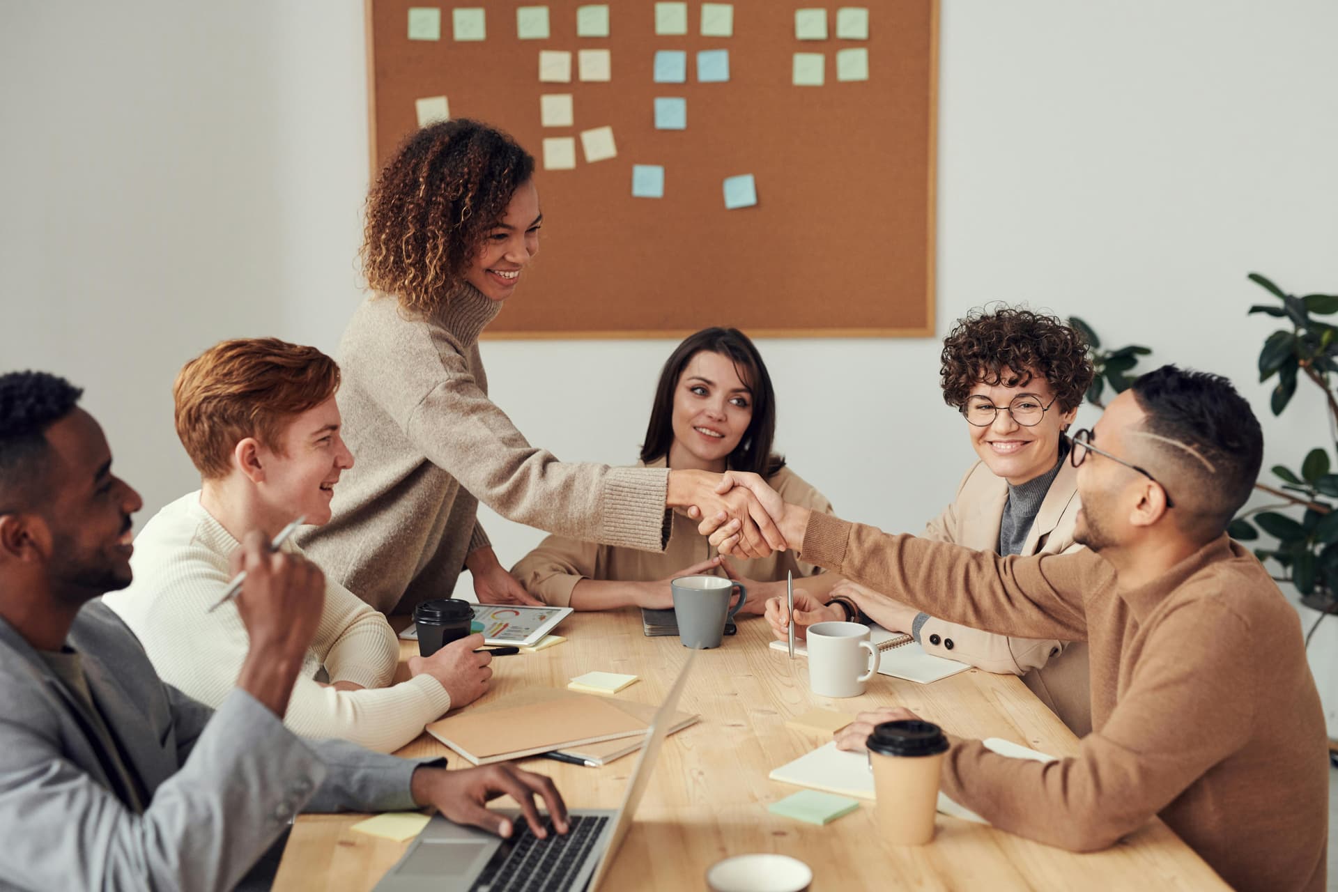 Company values
